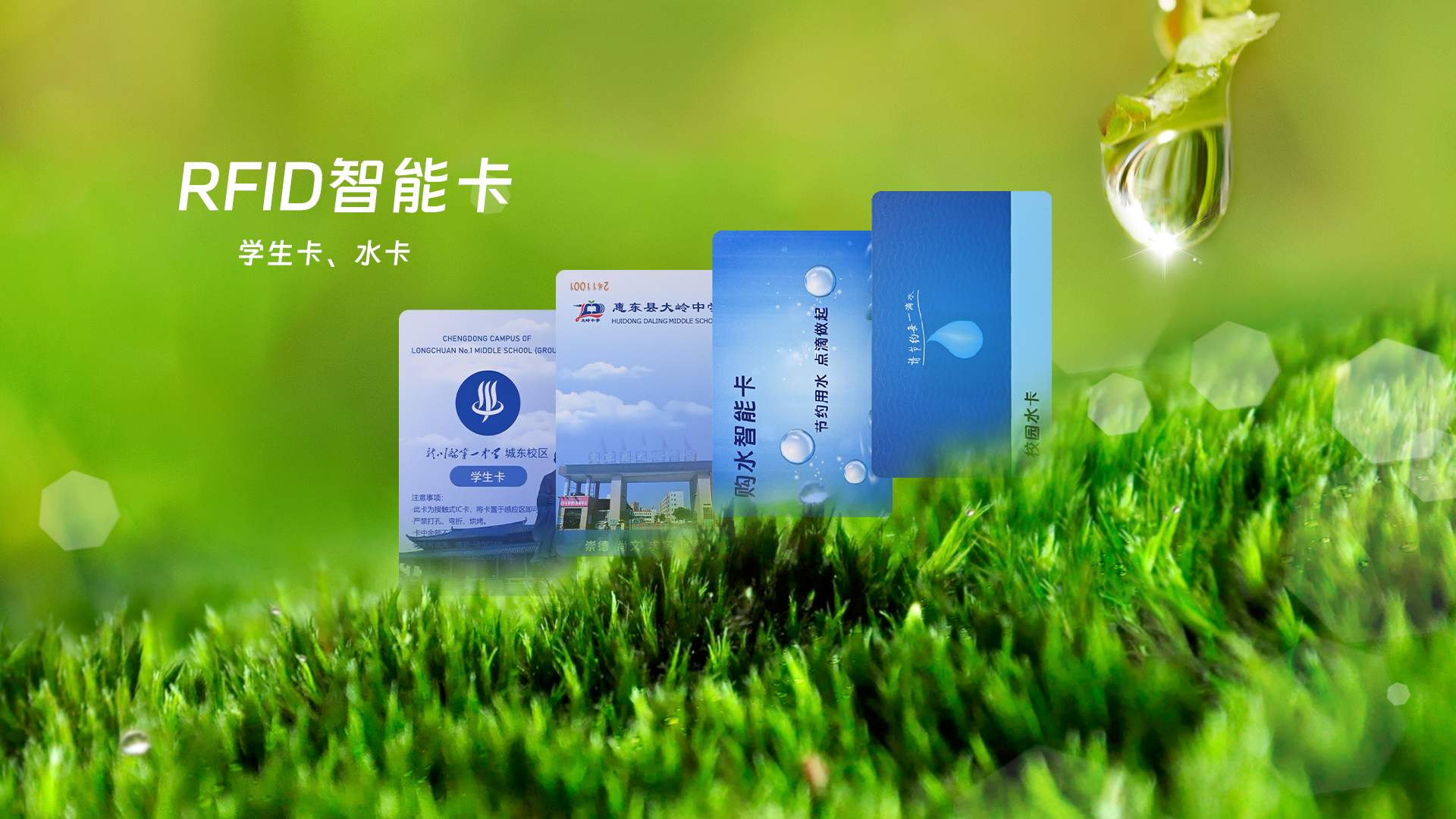 微信圖片_20250319112821 微信圖片_20250319112821